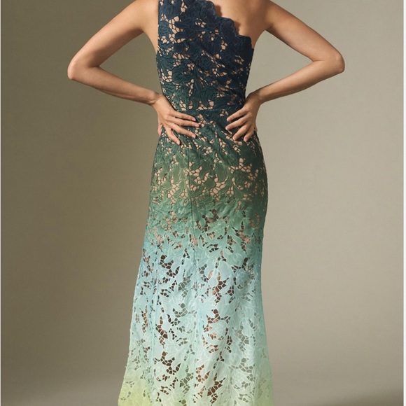 Elliatt Karolina Ombre Lace One Shoulder Sheer Gown Maxi Dress Anthropologie - Picture 2 of 3